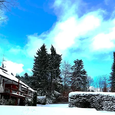 Michels Apartment Titisee-Neustadt